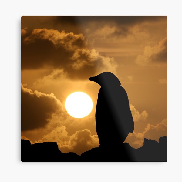 Penguin Silhouette Metal Print
