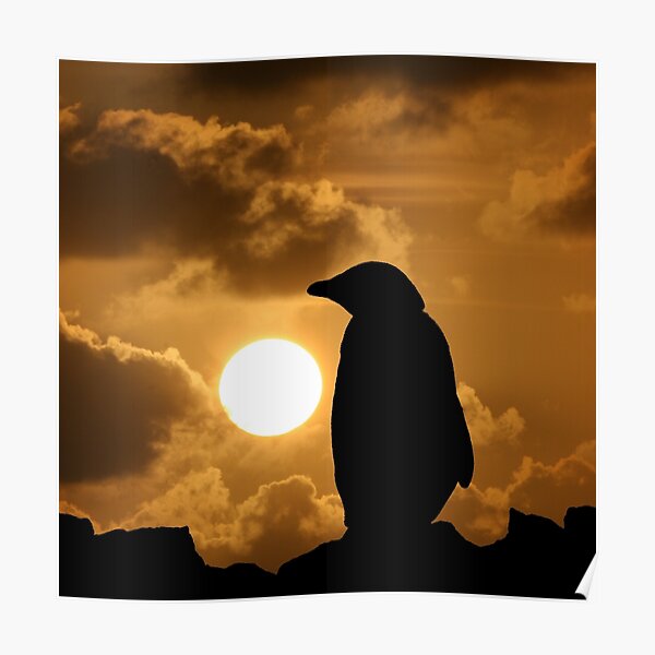 Penguin Silhouette Poster