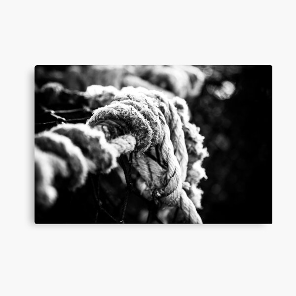 Crab Pot III Canvas Print