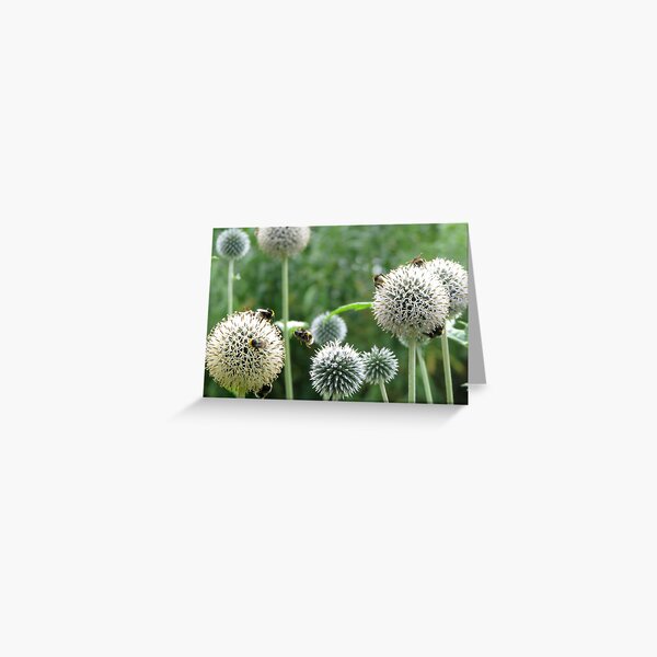 Busy Bee Greeting Card