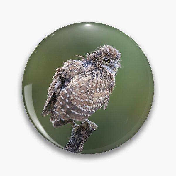 Item preview, Burrowing Owlet designed and sold by mlorenz.