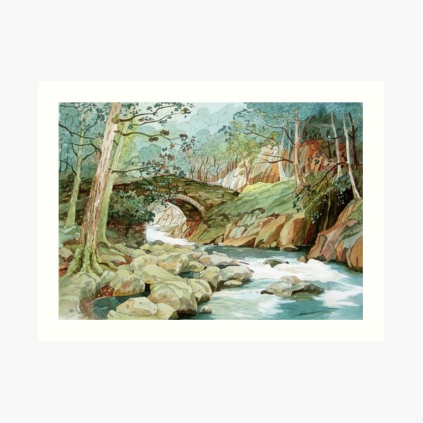 Cwm Bychan Art Print