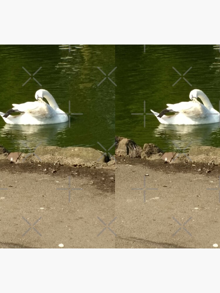 M.I. #43 |☼| Swan - Shot 1 (Pearson Park) by Naean
