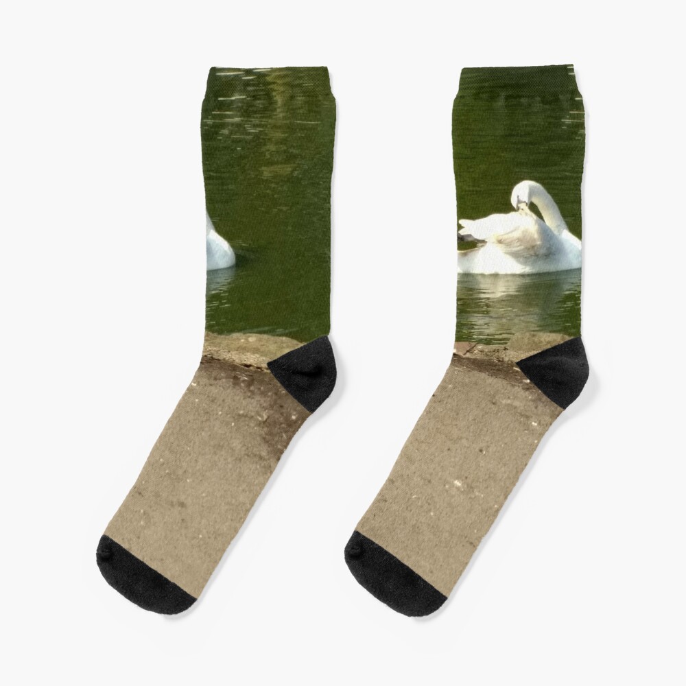 M.I. #43 |☼| Swan - Shot 1 (Pearson Park) Socks