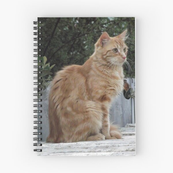 Item preview, Fred on the Shed designed and sold by Steven Cousley.