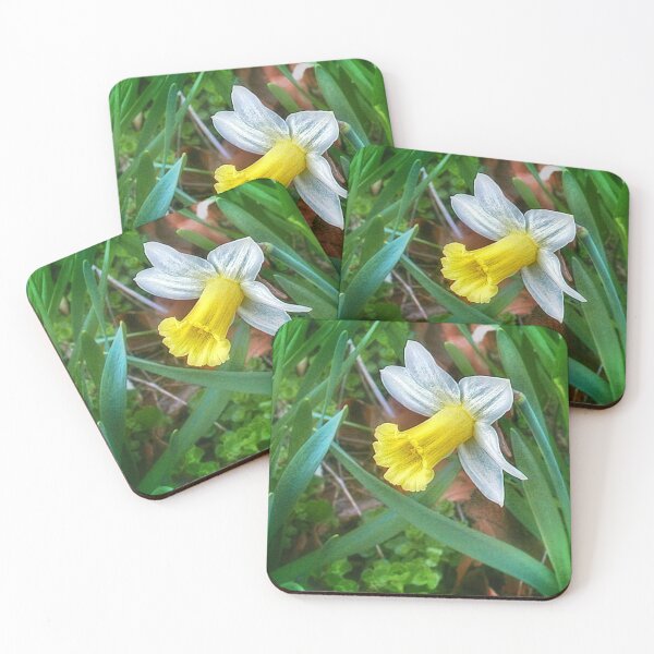 Item preview, Spring Solo designed and sold by Claude Johnson.