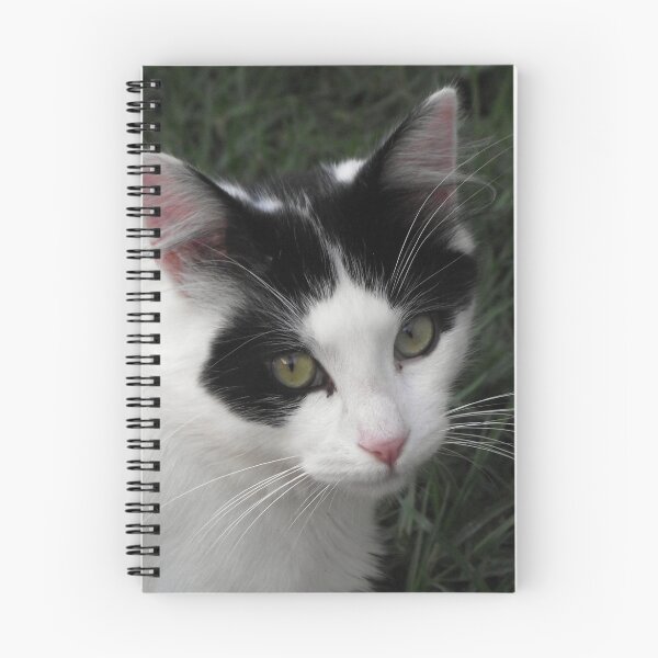 Item preview, Barney the curious black and white cat designed and sold by Steven Cousley.