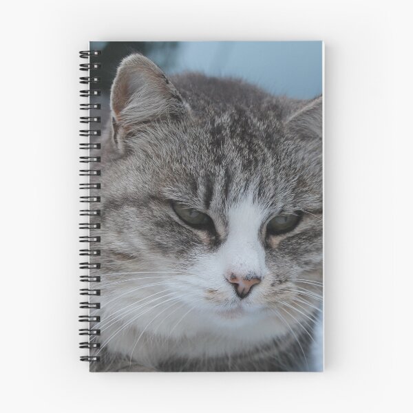Item preview, Uninterested Cat designed and sold by Steven Cousley.