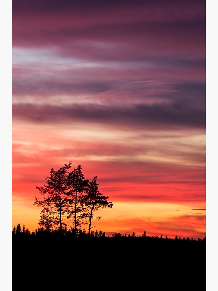 Watching the sunset by Juhku