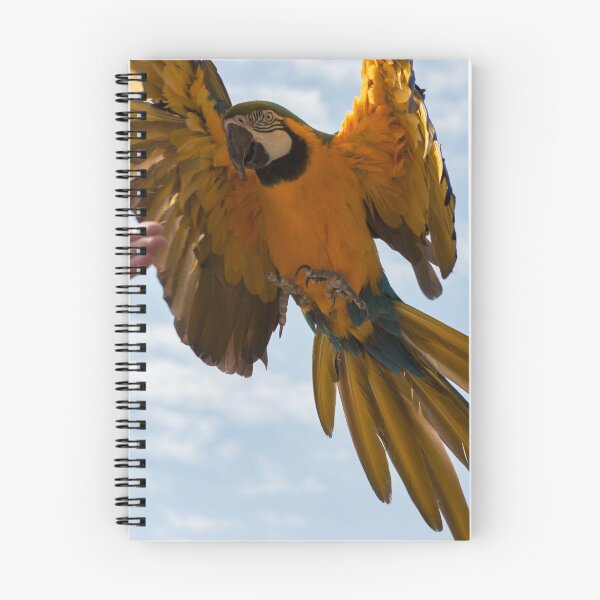 Item preview, Impact designed and sold by lindsey partridge.
