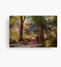 Berlin Park Canvas Print