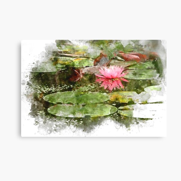 Pink Lily Pad Flower Art Canvas Print