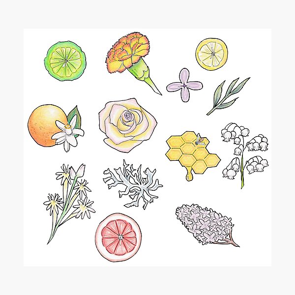 Item preview, notes of quelques fleurs designed and sold by AlmostReady.