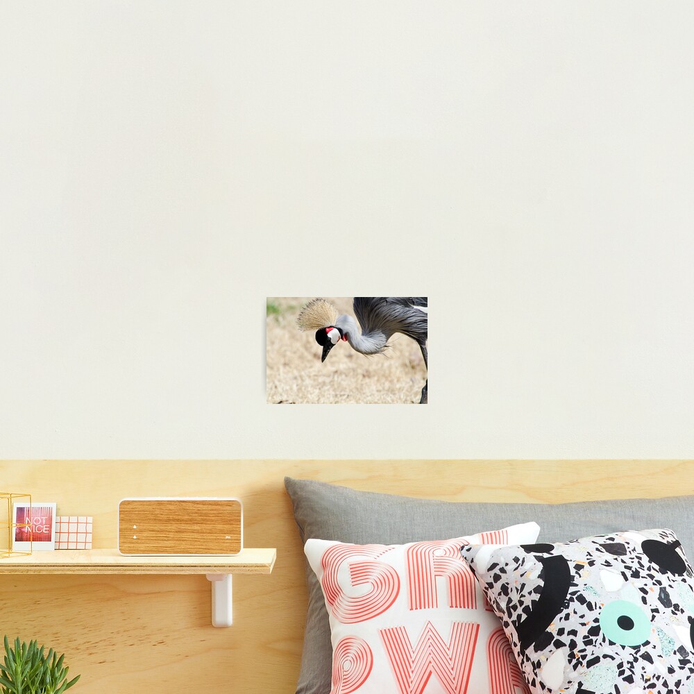Item preview, Photographic Print designed and sold by vasu.