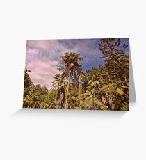 Tropical Forrest Greeting Card