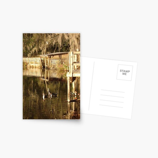 TURNED TO GOLD Postcard