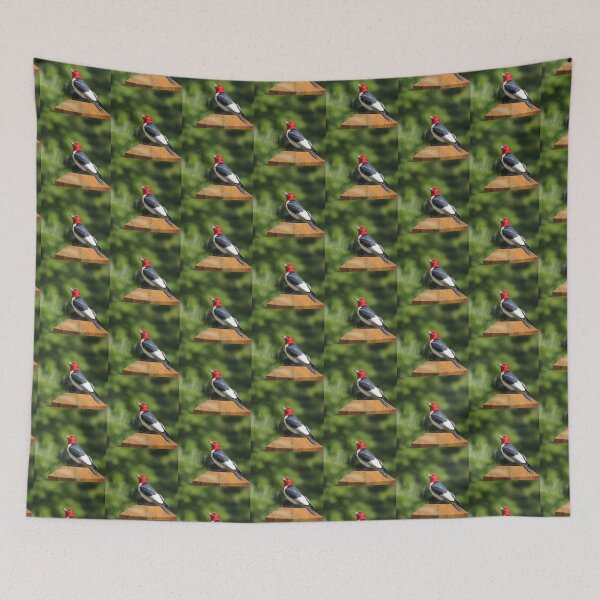 Item preview, Batzilla -  Redheaded Woodpecker photo by TZ  designed and sold by batzilla.
