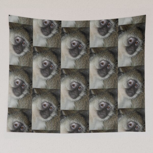 Item preview, Black-faced Vervet Monkey, Kenya. designed and sold by Carole-Anne.