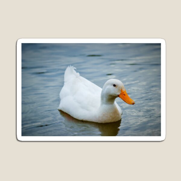 Item preview, ¡Solo un pato! designed and sold by Heart~Full Art by Julie J.