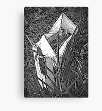 No More Mail Canvas Print