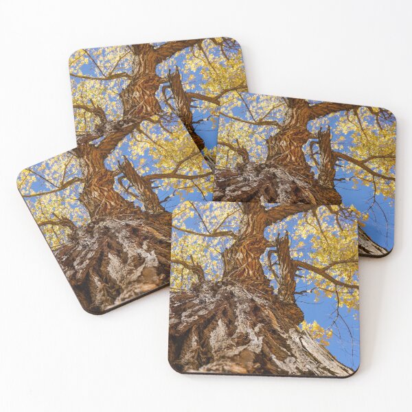 Item preview, Cottonwood tree designed and sold by ChaseKowal.