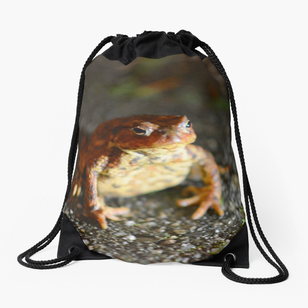 ikea toad bag