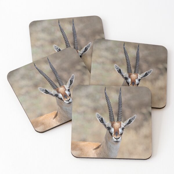 Item preview, Thomson's Gazelle, Serengeti, Tanzania.  designed and sold by Carole-Anne.