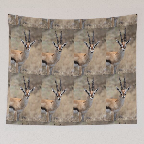 Item preview, Thomson's Gazelle, Serengeti, Tanzania.  designed and sold by Carole-Anne.