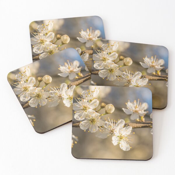 Item preview, Beautiful White Plum Blossoms Blooming in Spring designed and sold by Jon Shore.