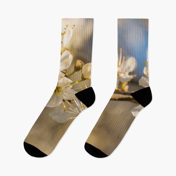 Item preview, Beautiful White Plum Blossoms Blooming in Spring designed and sold by Jon Shore.