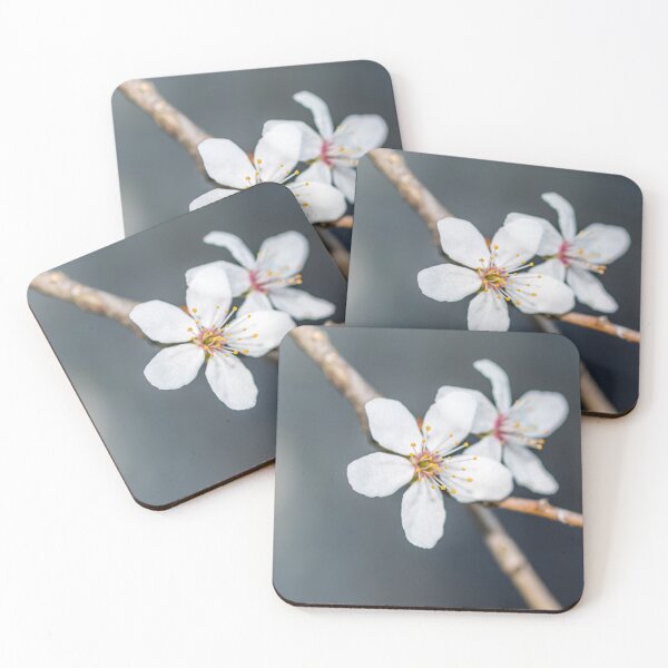 Item preview, Beautiful White Plum Blossoms Blooming in Spring designed and sold by Jon Shore.