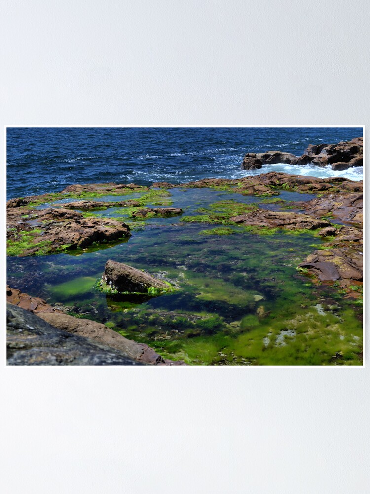 Thumbnail 1 of 3, Poster, Rock Pools designed and sold by Robyn62.