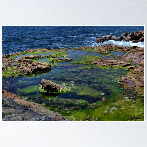 Item preview, Rock Pools designed and sold by Robyn Forbes.