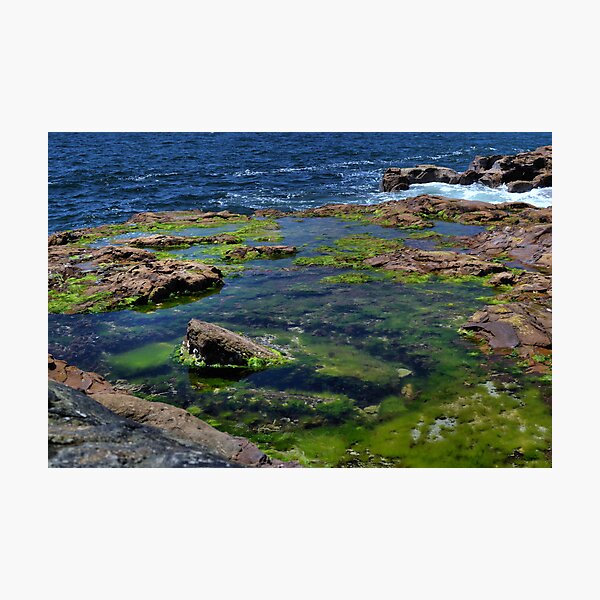 Item preview, Rock Pools designed and sold by Robyn Forbes.