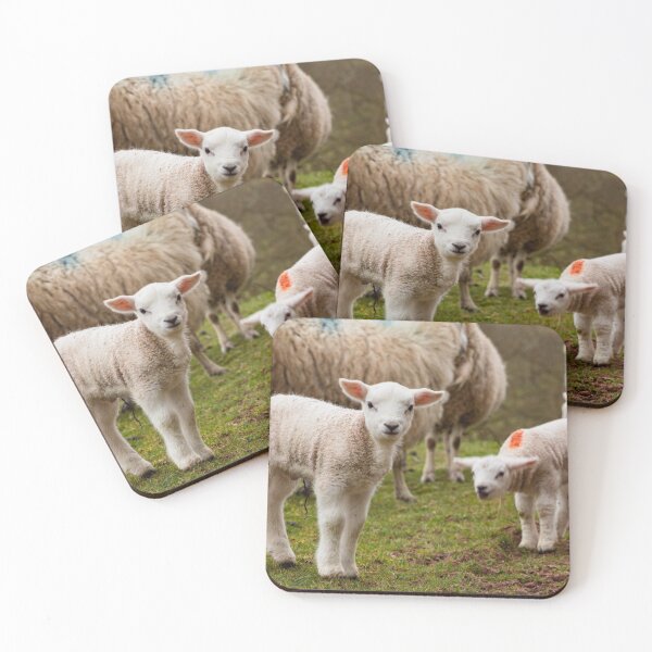 Item preview, Newborn Lambs in the Brecon Beacons designed and sold by Dan Santillo.