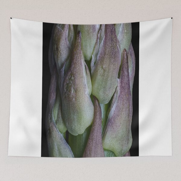 Item preview, Asparagus designed and sold by ChaseKowal.