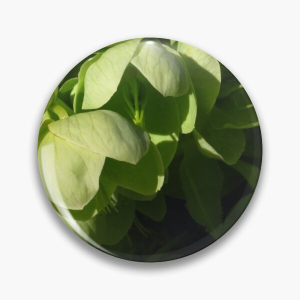 Item preview, Hellebores designed and sold by wiggyofipswich.
