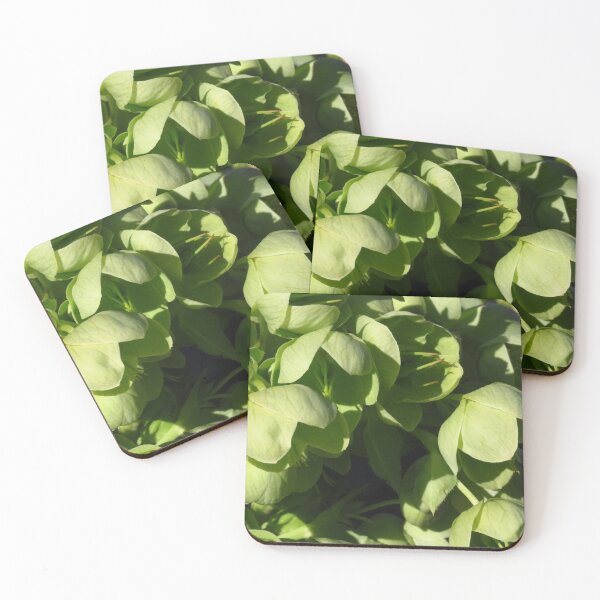 Item preview, Hellebores designed and sold by wiggyofipswich.
