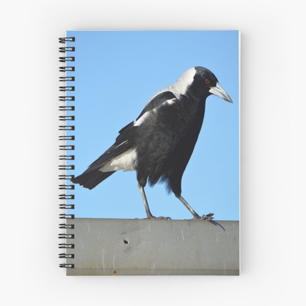 Item preview, Standing her ground magpie designed and sold by JoBling.