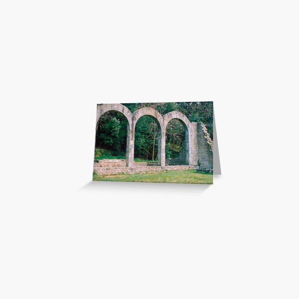 Item preview, Roman Ruins at Fiesole Italy designed and sold by Imagery.