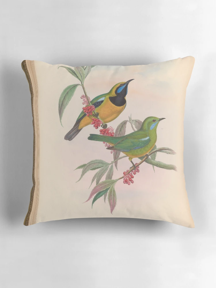 Aperçu 3 sur 4. Coussin avec l'œuvre Birds of Asia by John... créée et vendue par Rodeoclash.