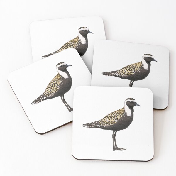 Item preview, American Golden Plover illustration designed and sold by kokayart.