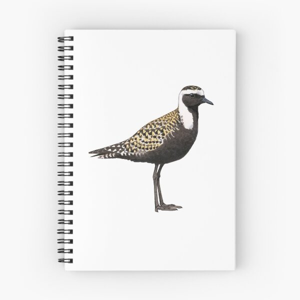 Item preview, American Golden Plover illustration designed and sold by kokayart.