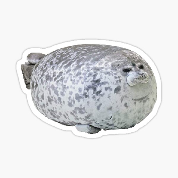 Featured image of post Cute Fat Seal Drawing and now i turned 2p arthur into a seal