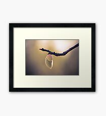 Baby Peach Framed Print