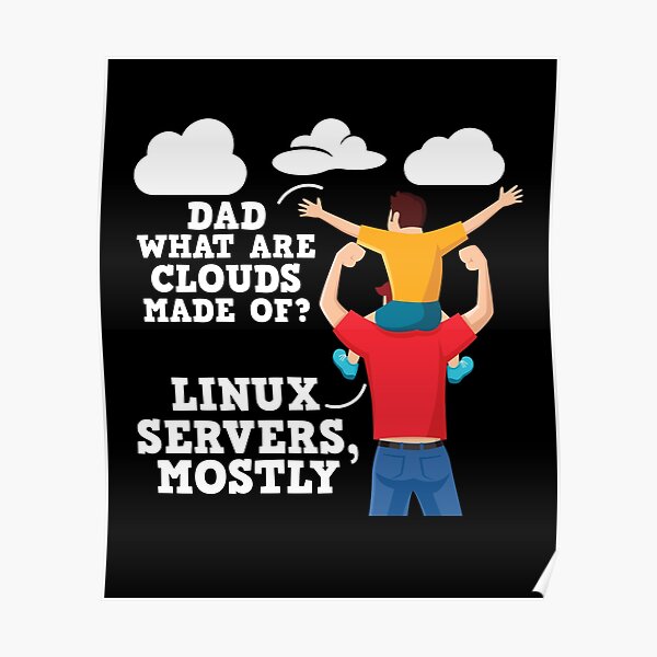 Funny Programmer Software Developer Computer Nerd Gift Poster