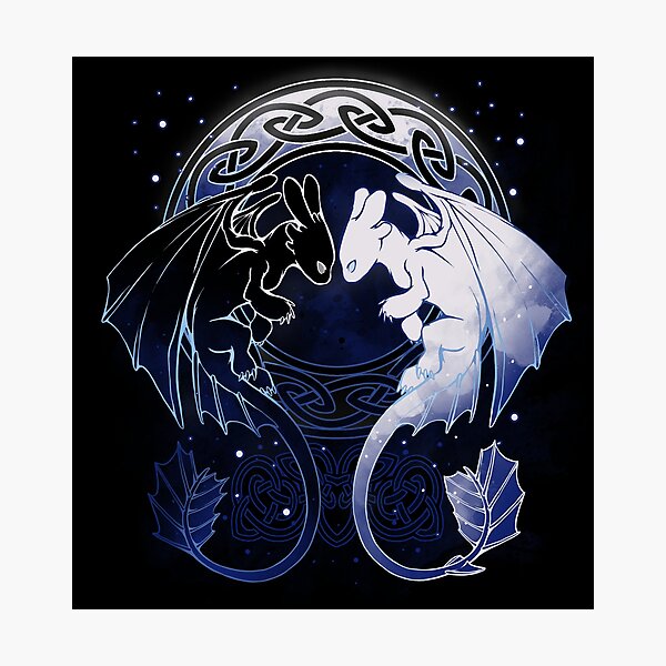 Two Dragons Photographic Print