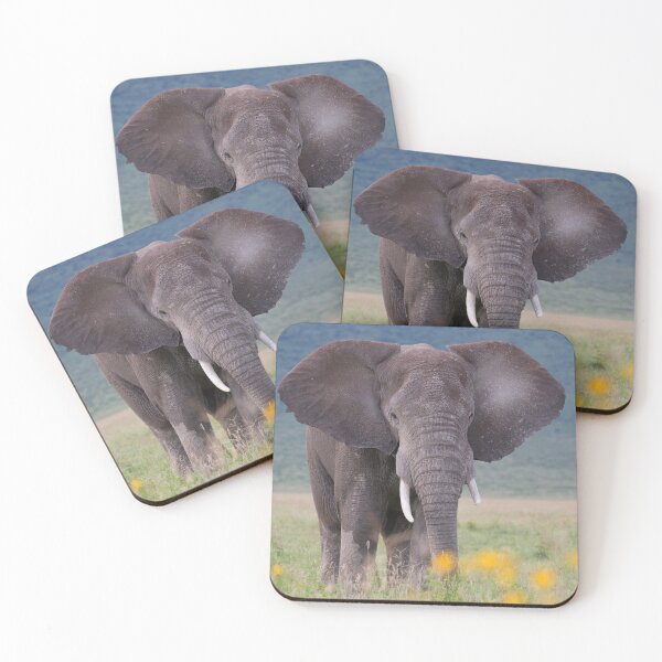 Item preview, African Bush Elephant (Loxodonta africana) designed and sold by Yair Karelic.