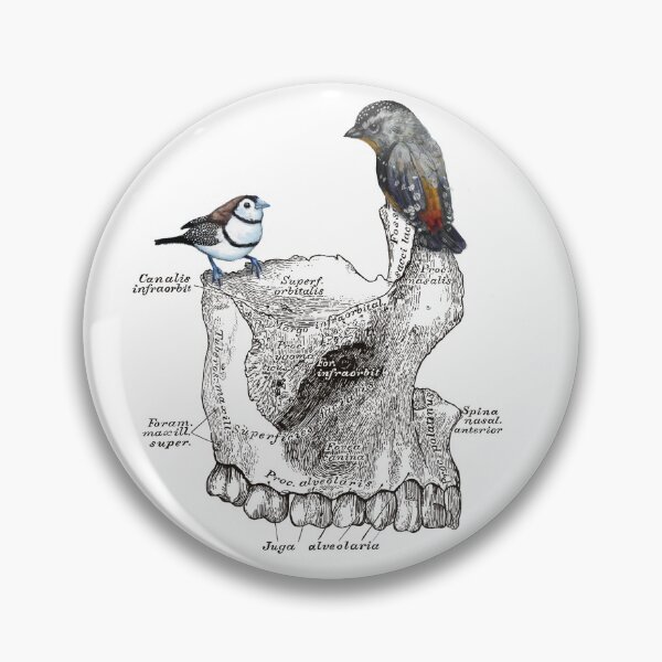 Item preview, Australian Finches on Jaw bone designed and sold by MiettaPreston.
