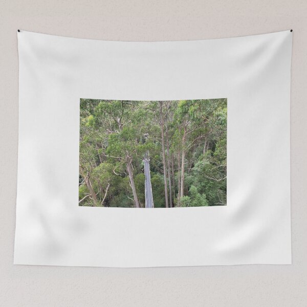Item preview, High in the tree canopy at Otway Fly, Victoria, Australia designed and sold by Juliette Remfrey.